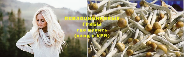 мдпв Нягань