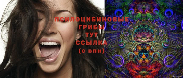мдпв Нягань