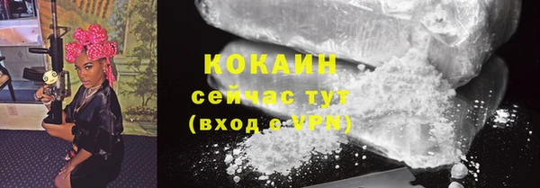 спиды Няндома