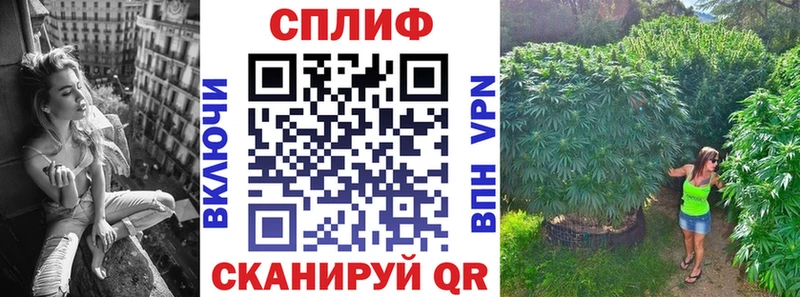 Конопля White Widow  купить наркотик  Чулым 